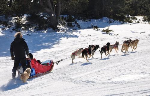 Charmant T3 "Les Cerdans" Porté-Puymorens Kültér fotó