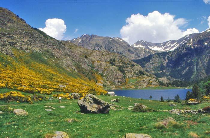 Charmant T3 "Les Cerdans" Porté-Puymorens Kültér fotó